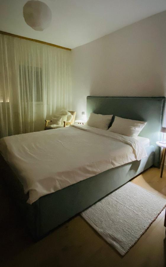 Cozy Apartment Сібіу Екстер'єр фото