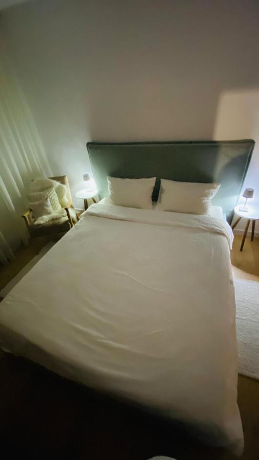 Cozy Apartment Сібіу Екстер'єр фото